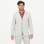 TED BAKER-Ανδρικό σακάκι blazer YUCCA TED BAKER 252025 LINEN BLEND γκρι καφέ