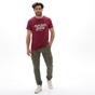 VAN HIPSTER-Ανδρικό t-shirt VAN HIPSTER 72138 magenta